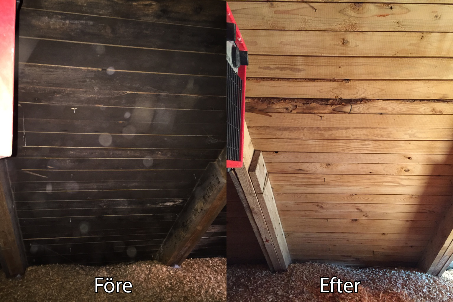 Sanering_hur_far_jag_bort_mogel_fukt