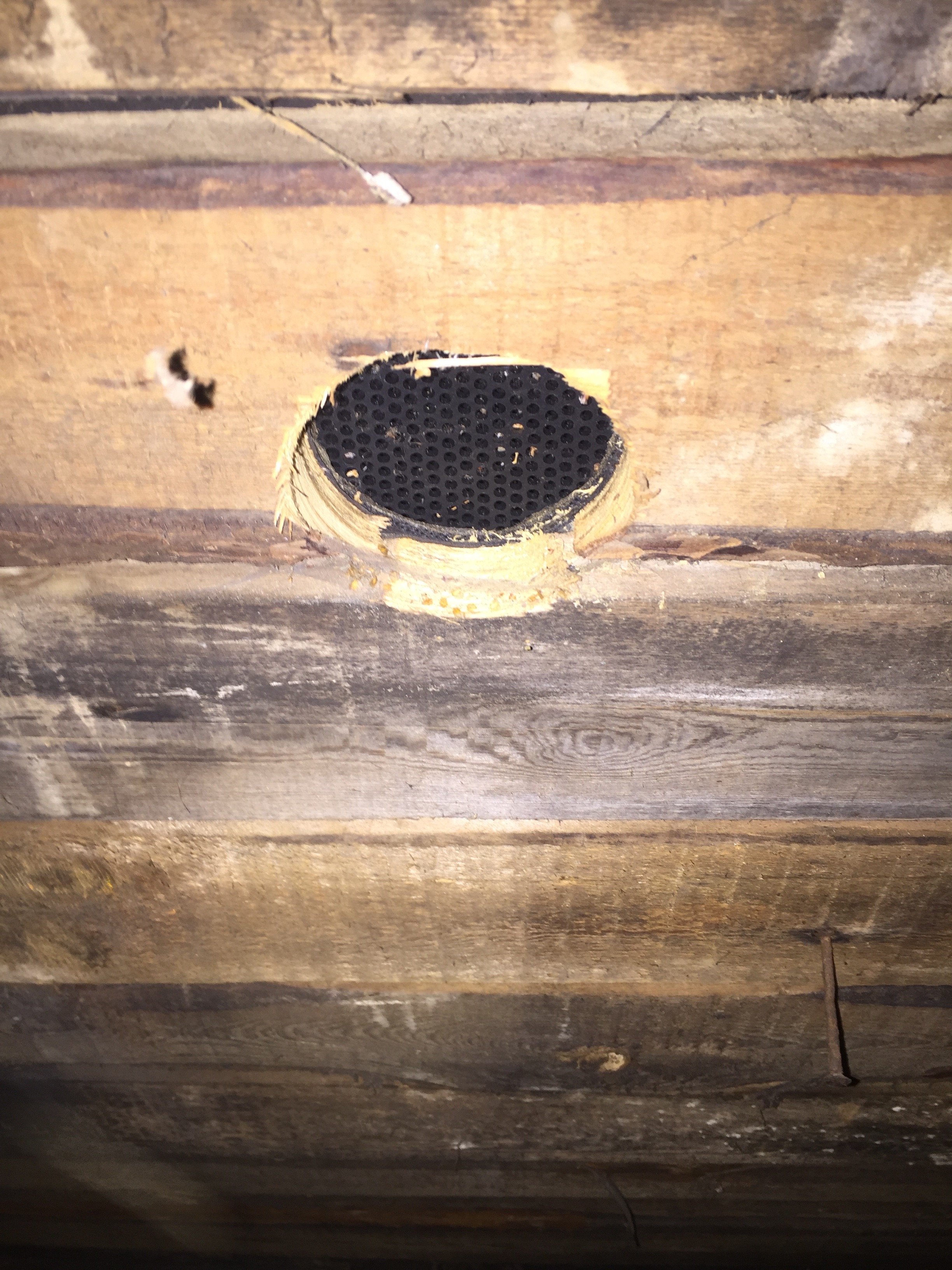 mögel-på-vinden-måste mägelsaneras-av-avfuktningsgruppen.se.jpg