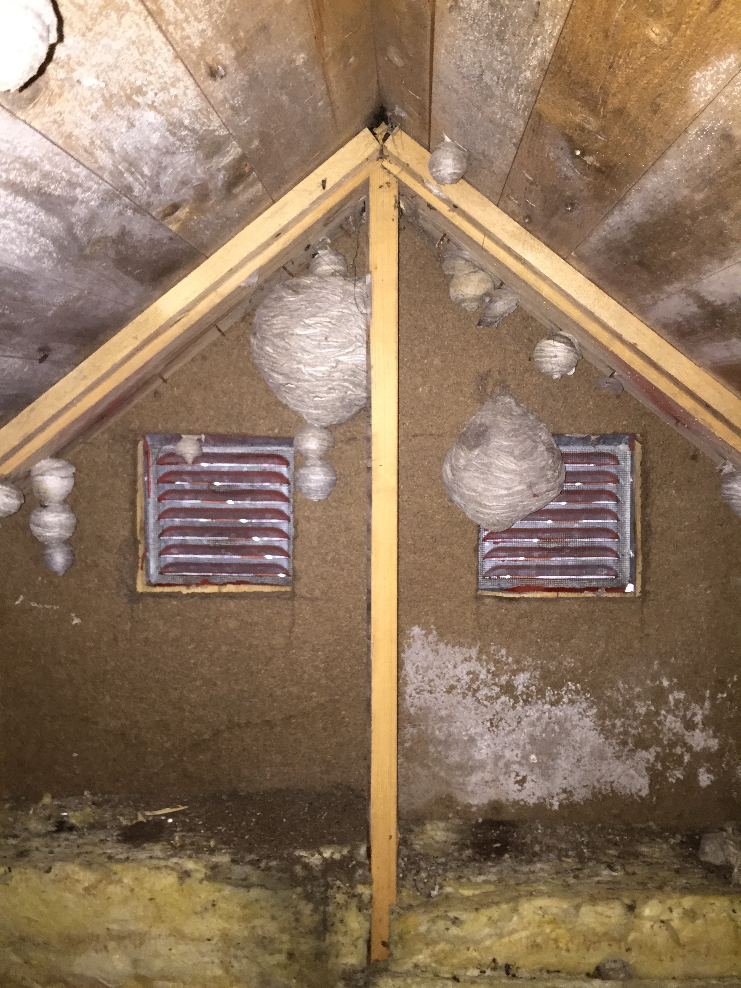 mögel.vind.bi.mögelsannering.mögelsanering pris.avfuktningsgruppen.jpg