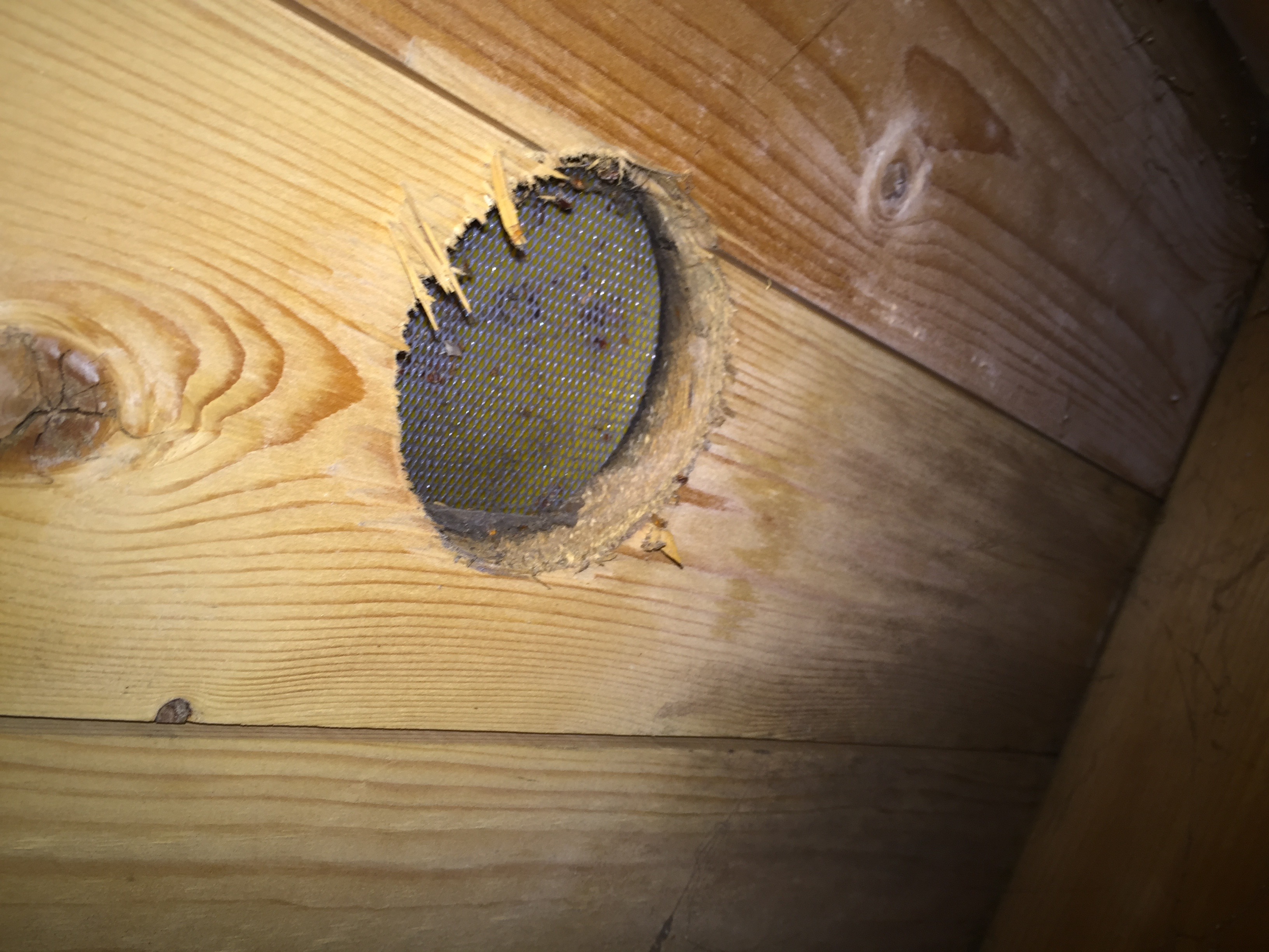 mögelstopper ventilering tak.jpg