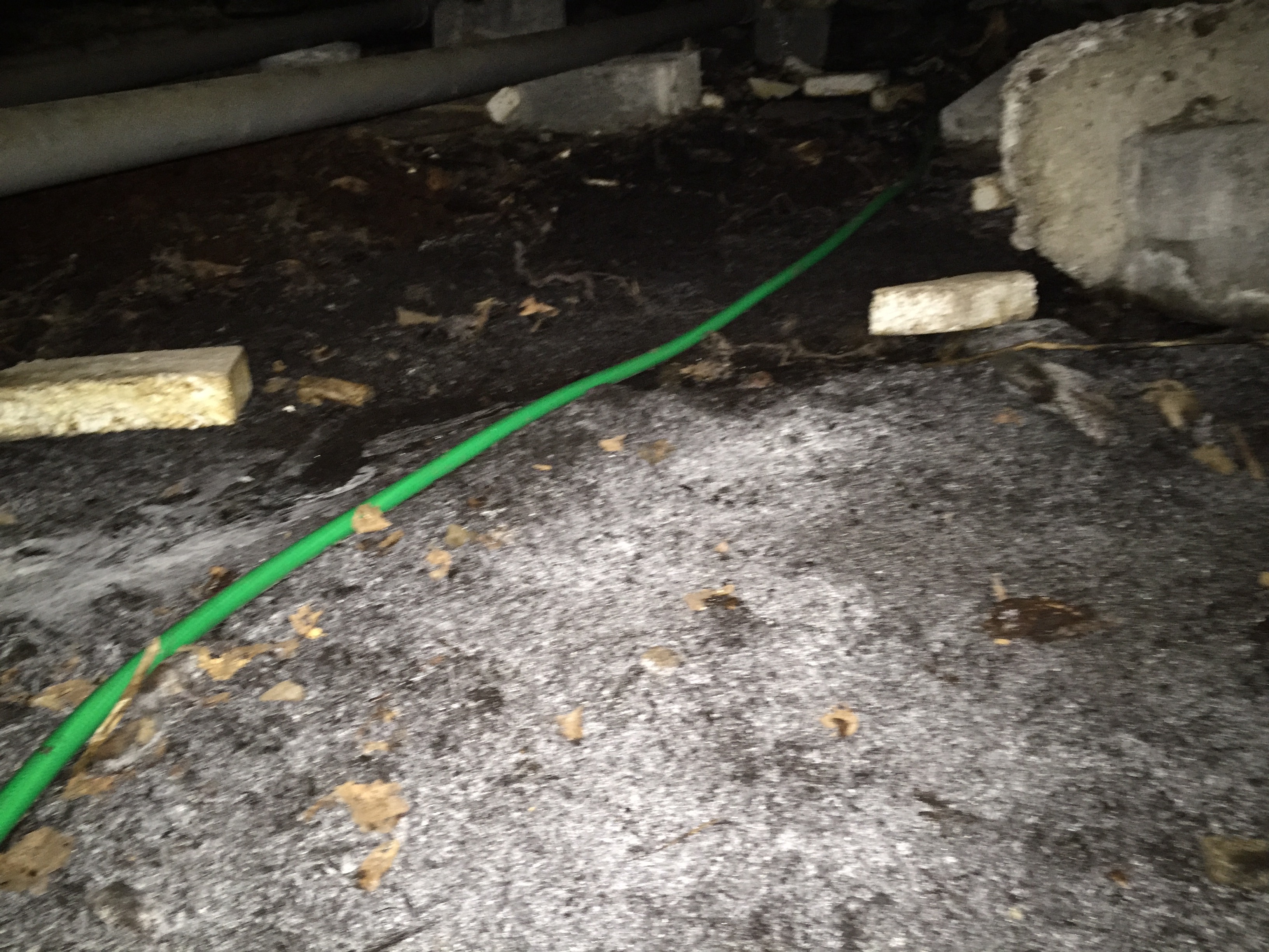 torpargrund stående vatten.jpg